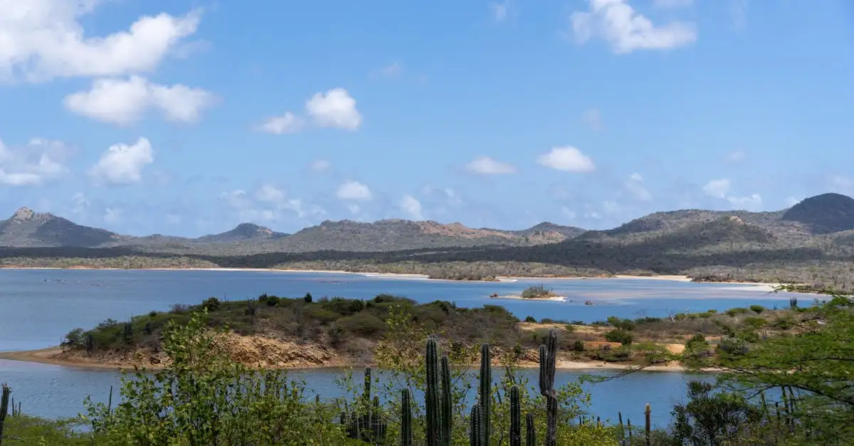 Beste reistijd bonaire