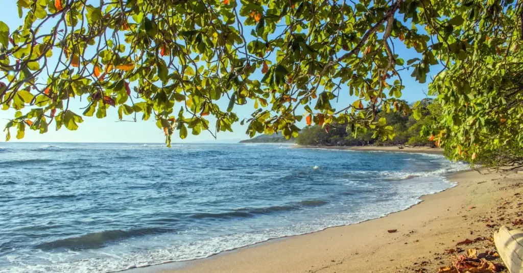 Beste reistijd costa rica