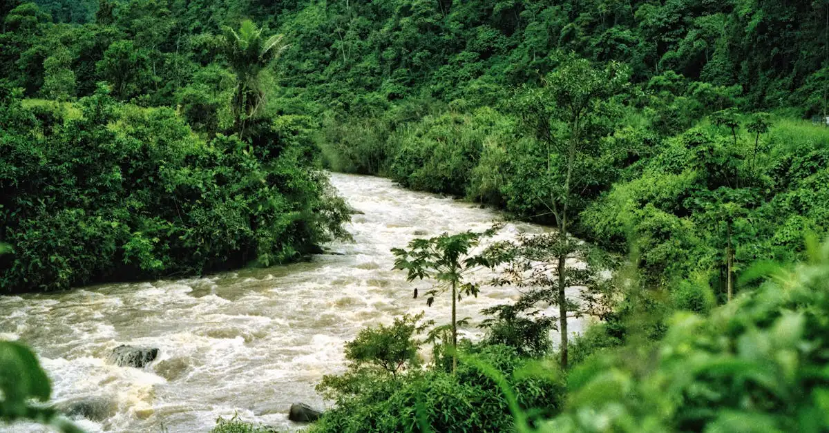 Beste reistijd amazone ecuador