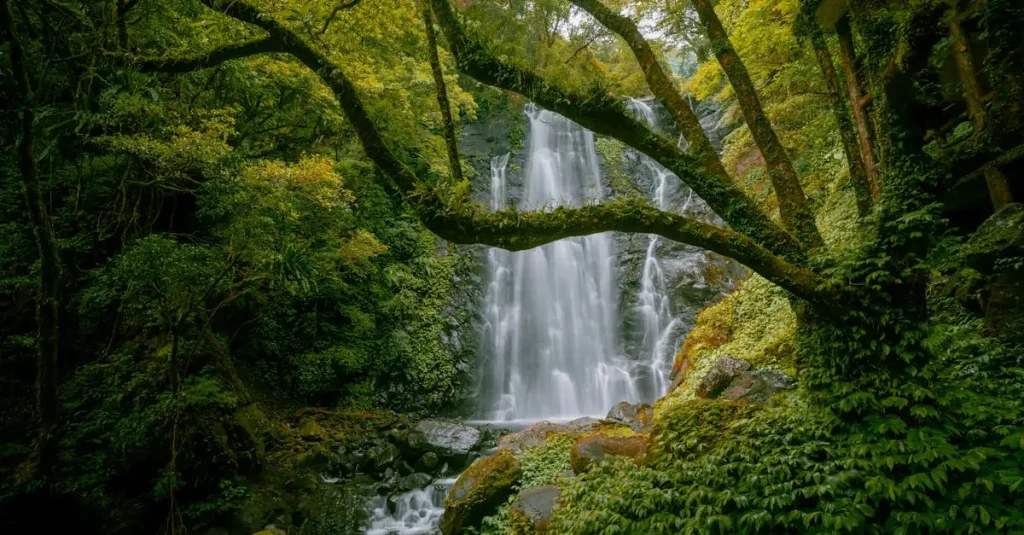 Beste reistijd amazonegebied