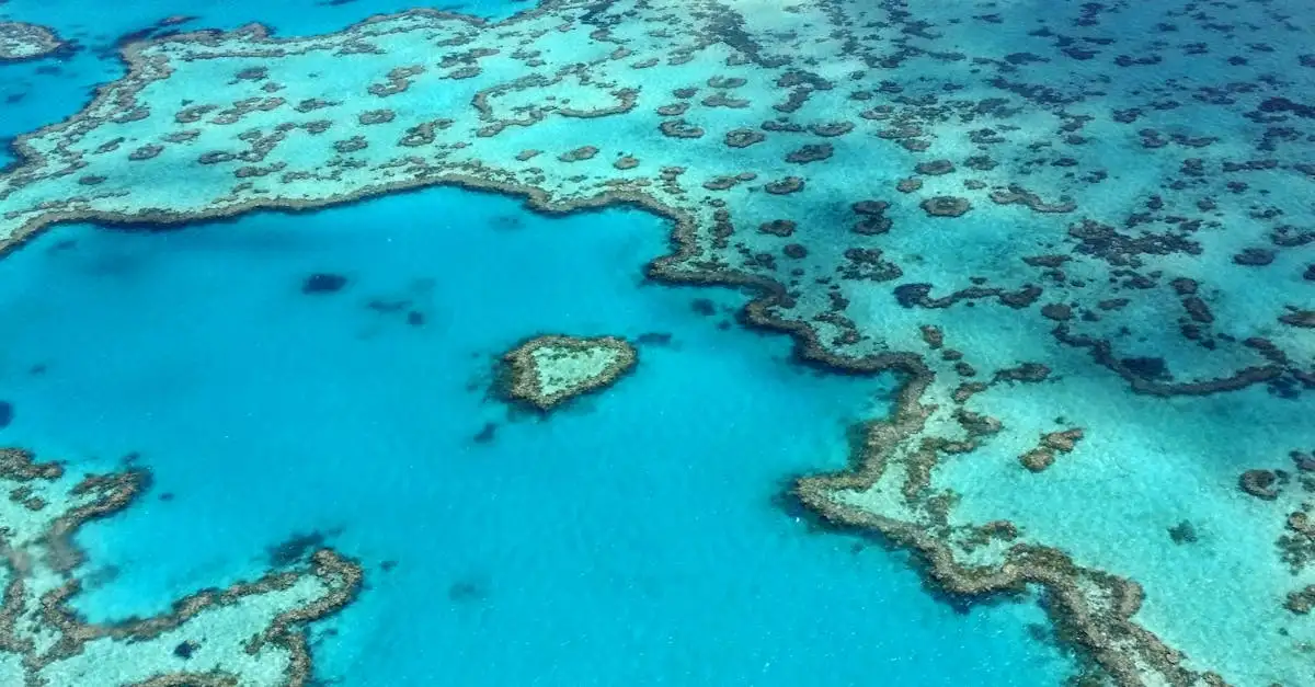 Beste reistijd australie great barrier reef