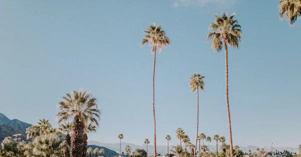 Beste reistijd californie