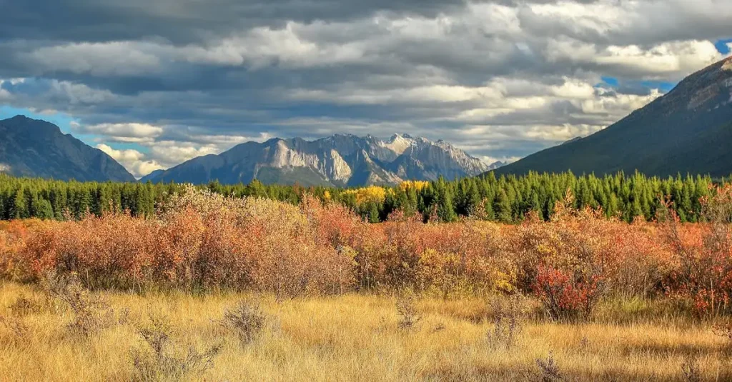 Beste reistijd canada west