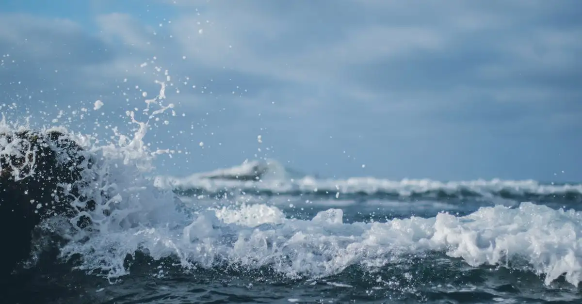 Beste reistijd canarische eilanden