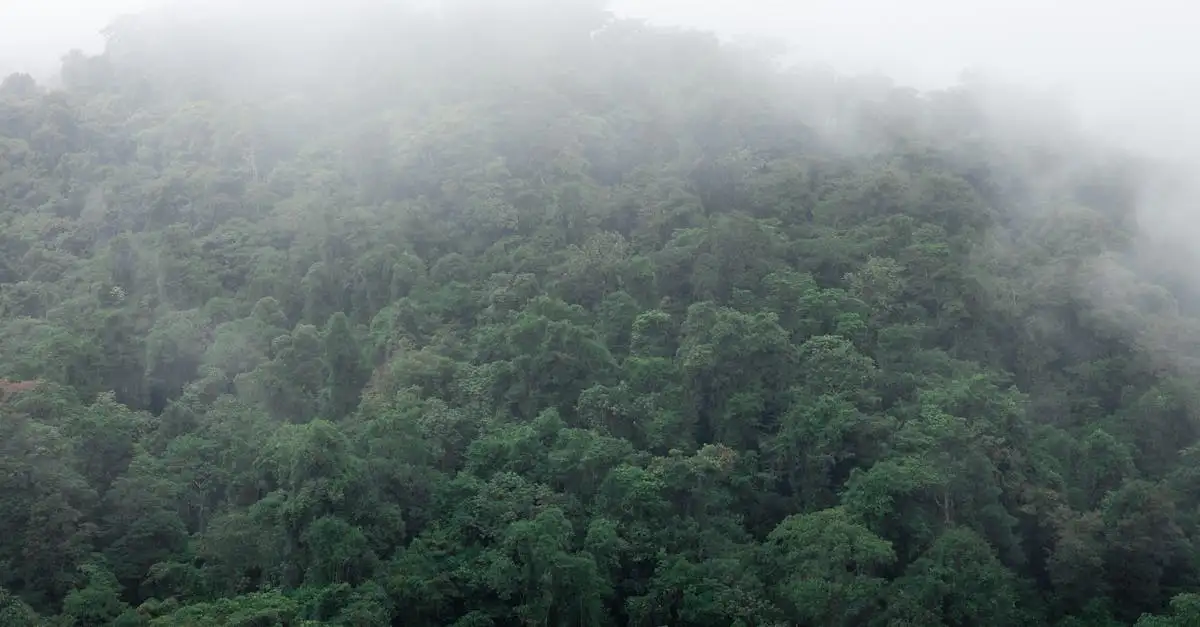 Beste reistijd costa rica klimaatinfo