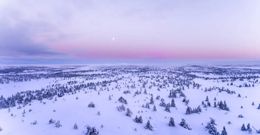 Beste reistijd december gezond