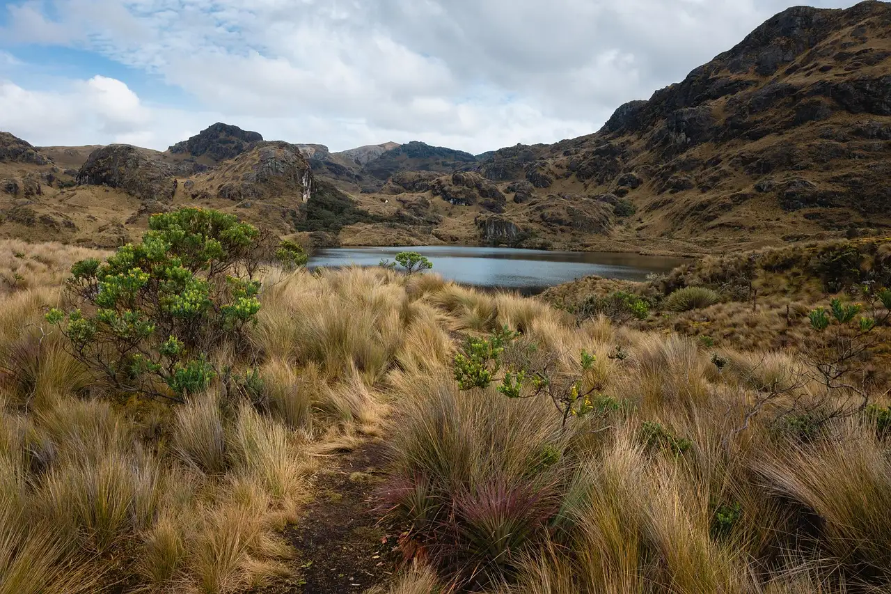 Beste reistijd ecuador en peru