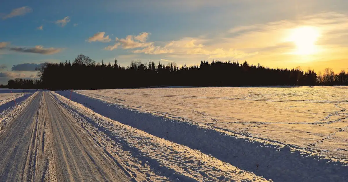 Beste reistijd februari