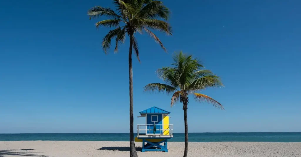 Beste reistijd florida