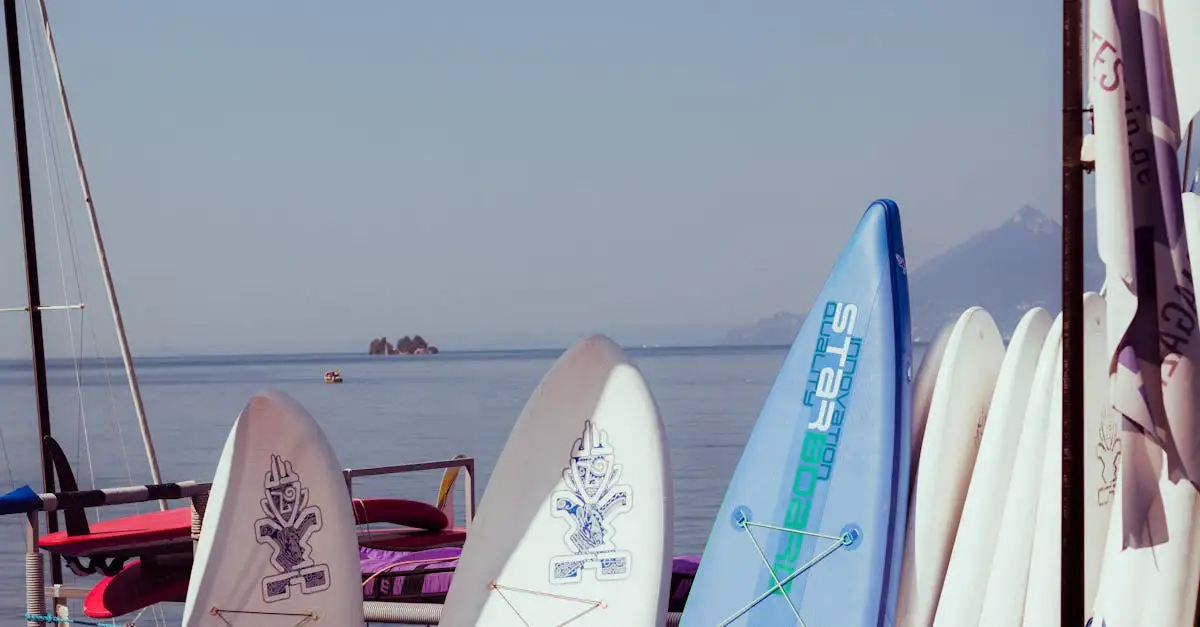 Beste reistijd gardameer