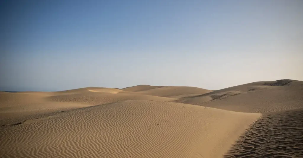 Beste reistijd gran canaria