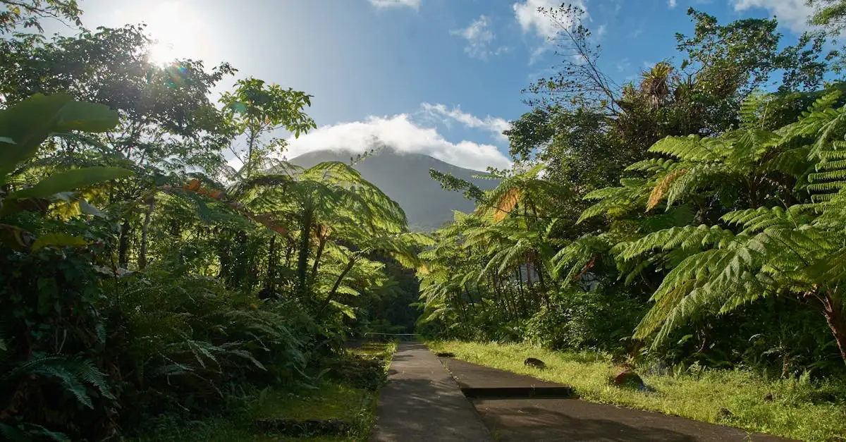 Beste reistijd guadeloupe