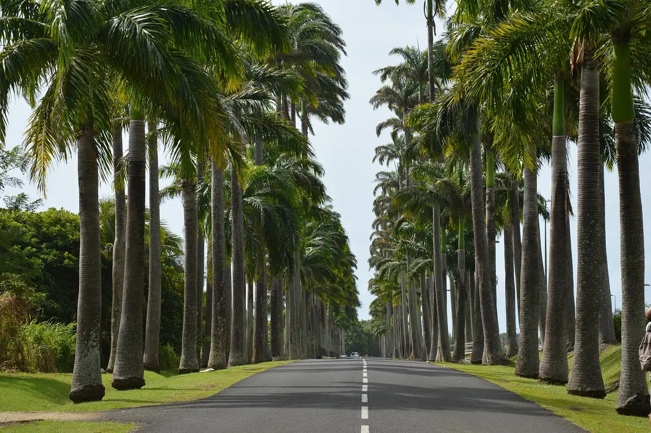 Beste reistijd guadeloupe