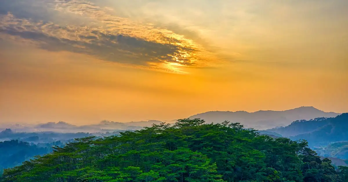 Beste reistijd indonesië