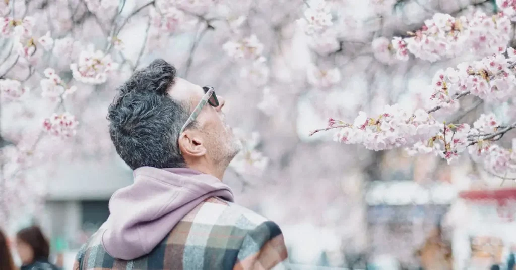 Beste reistijd japan kersenbloesem