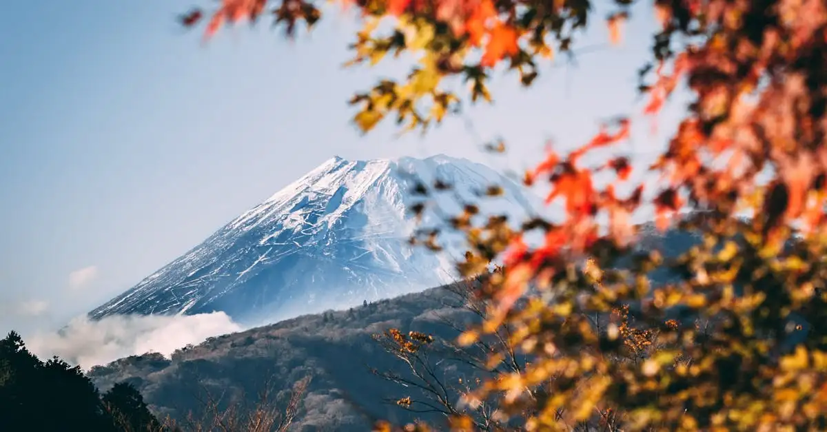 Beste reistijd japan klimaatinfo
