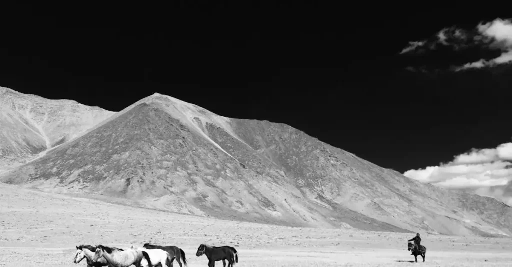 Beste reistijd ladakh