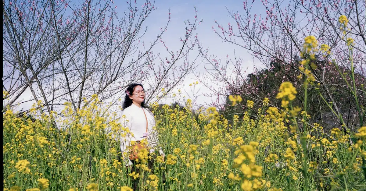 Beste reistijd noord vietnam