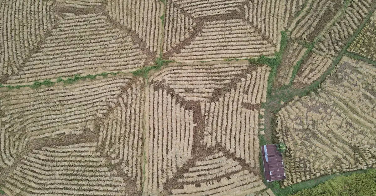 Beste reistijd noordoost thailand