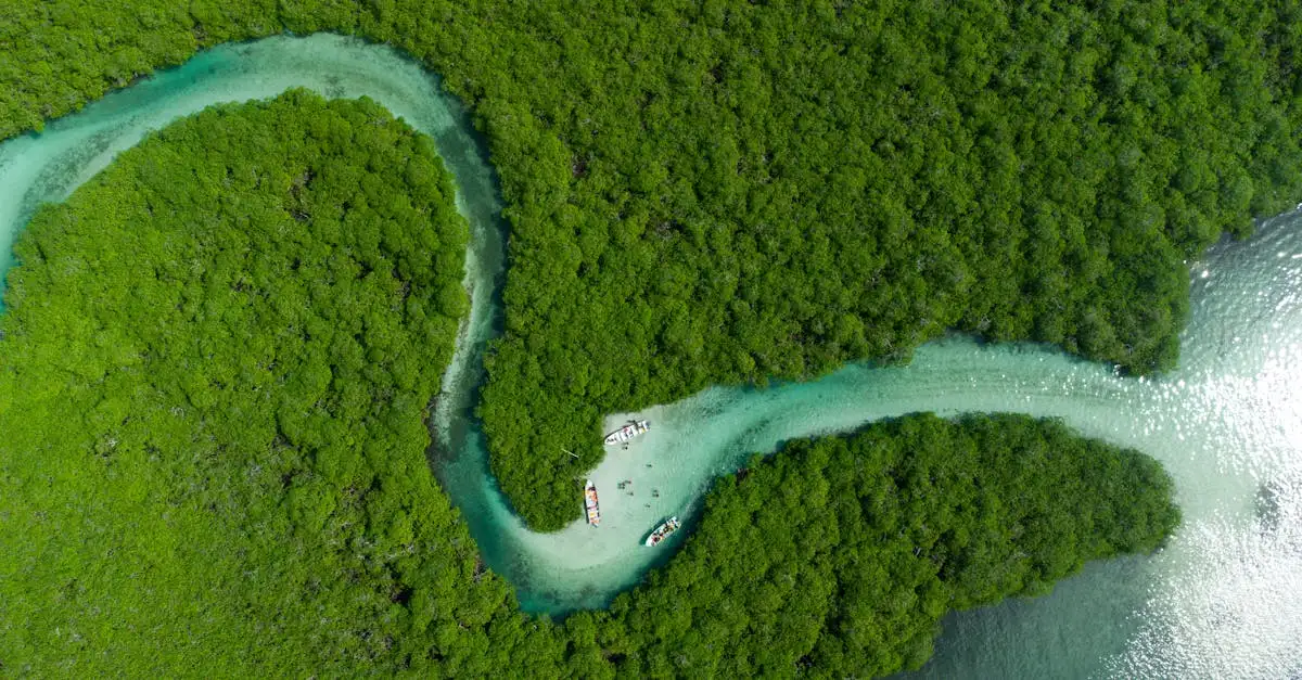 Beste reistijd panama