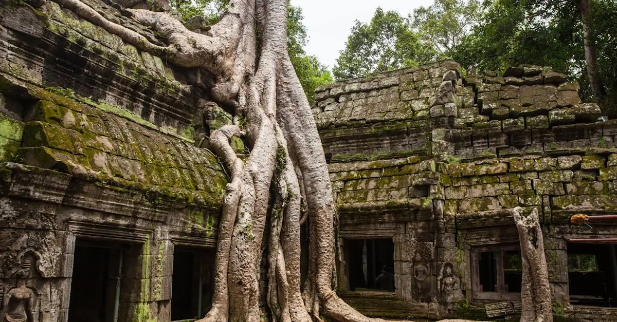 Beste reistijd siem reap