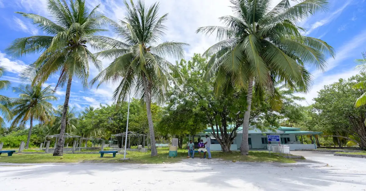 Beste reistijd vanuatu