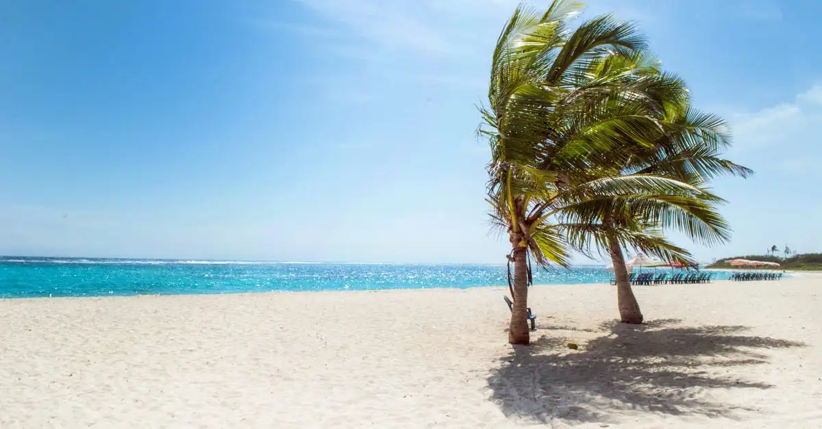 Beste reistijd venezuela