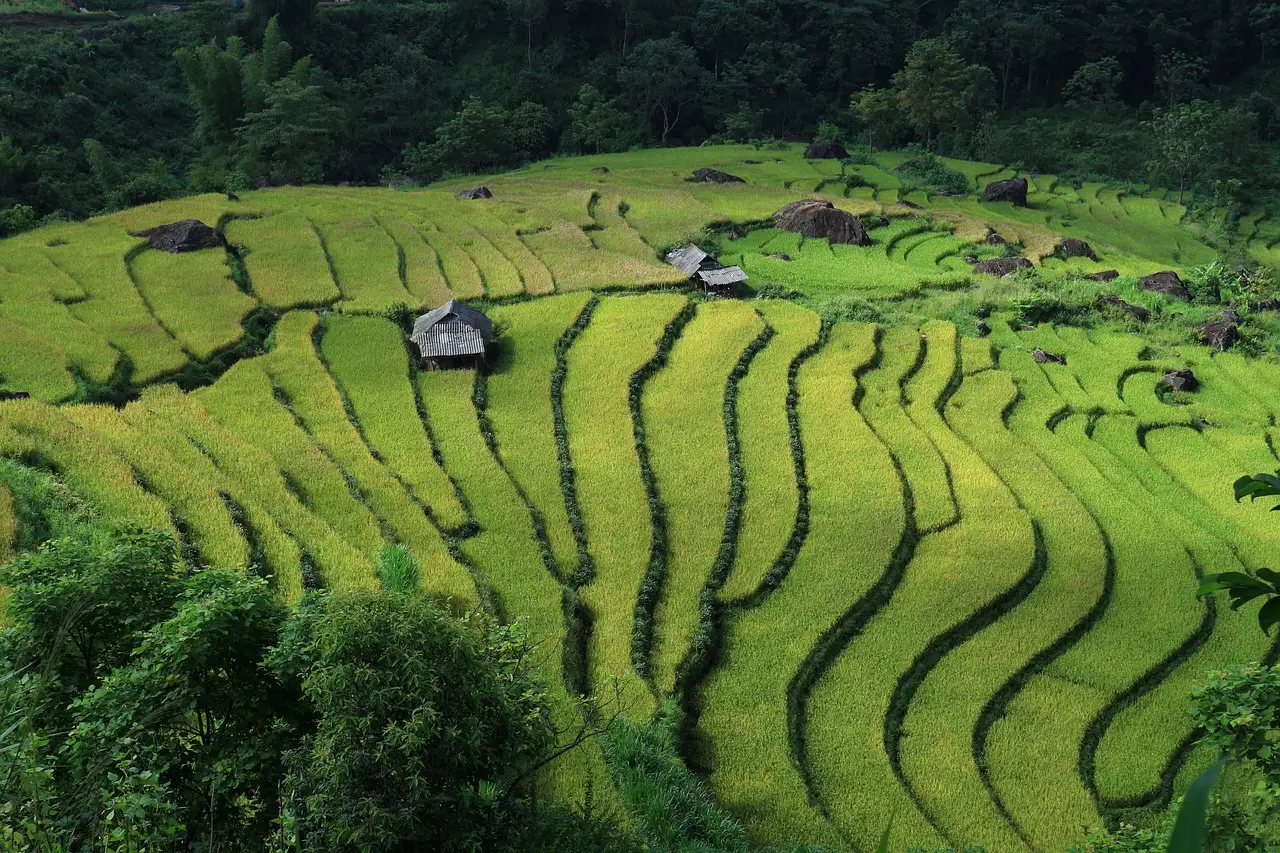 Beste reistijd vietnam quotes