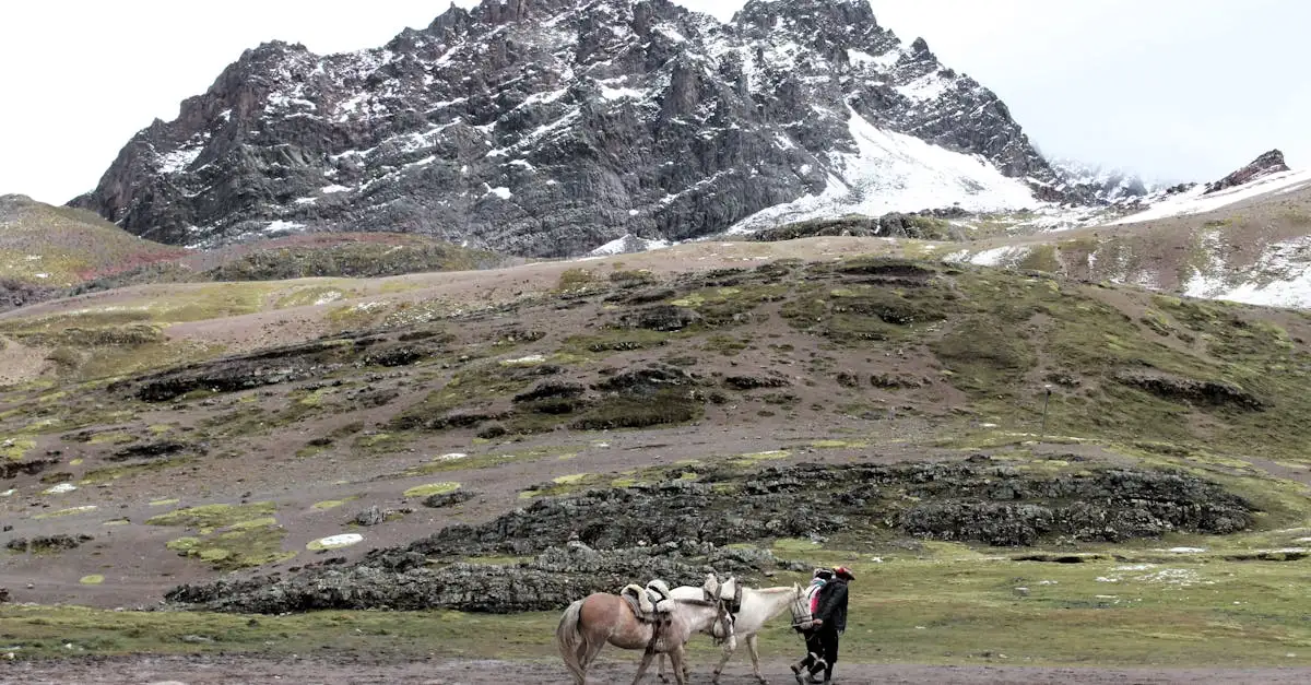 Beste reistijd voor peru