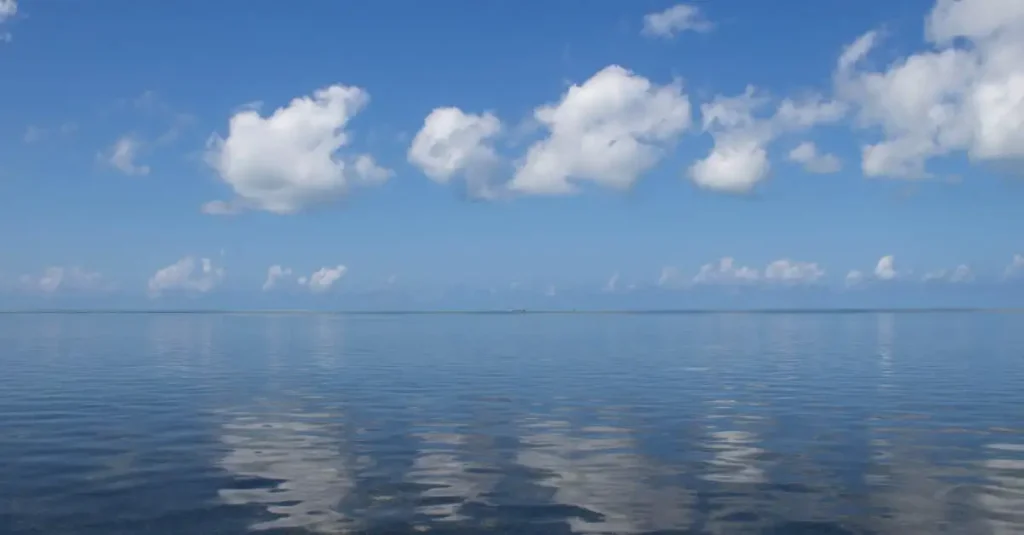 Beste reistijd zanzibar