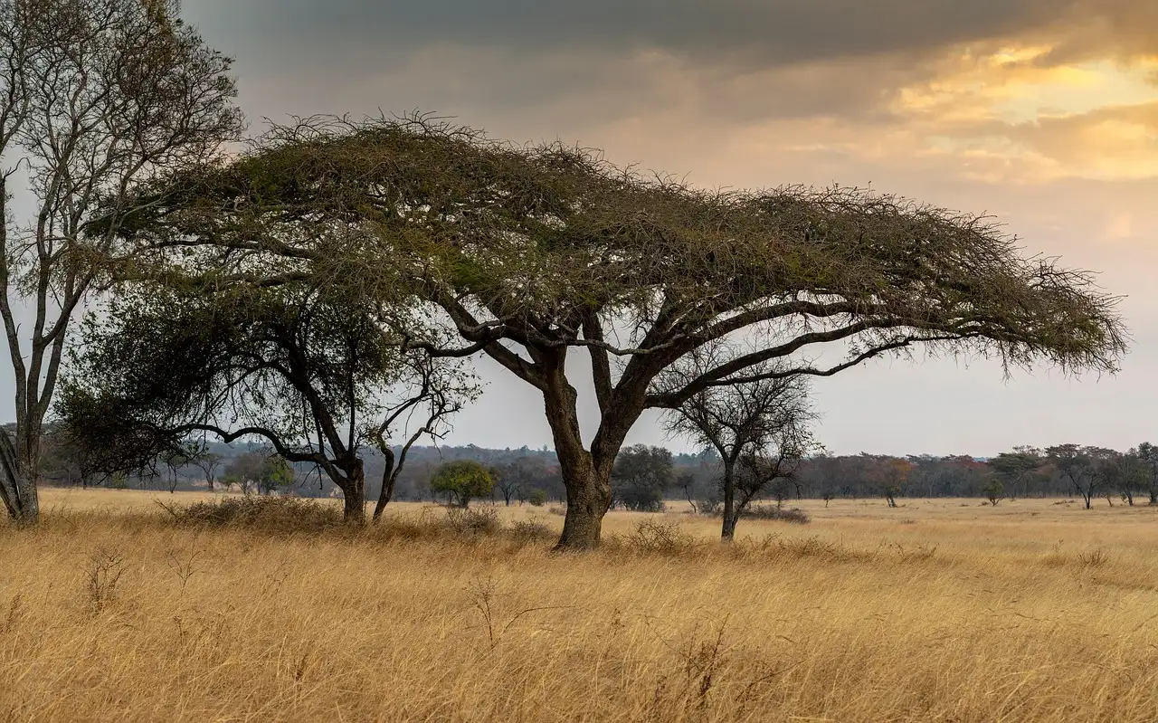Beste reistijd zimbabwe